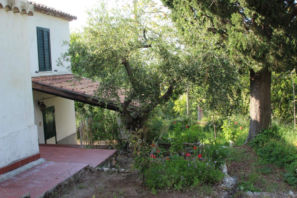 Tenuta Conte Ruggero Santa Domenica Talao Habitación foto